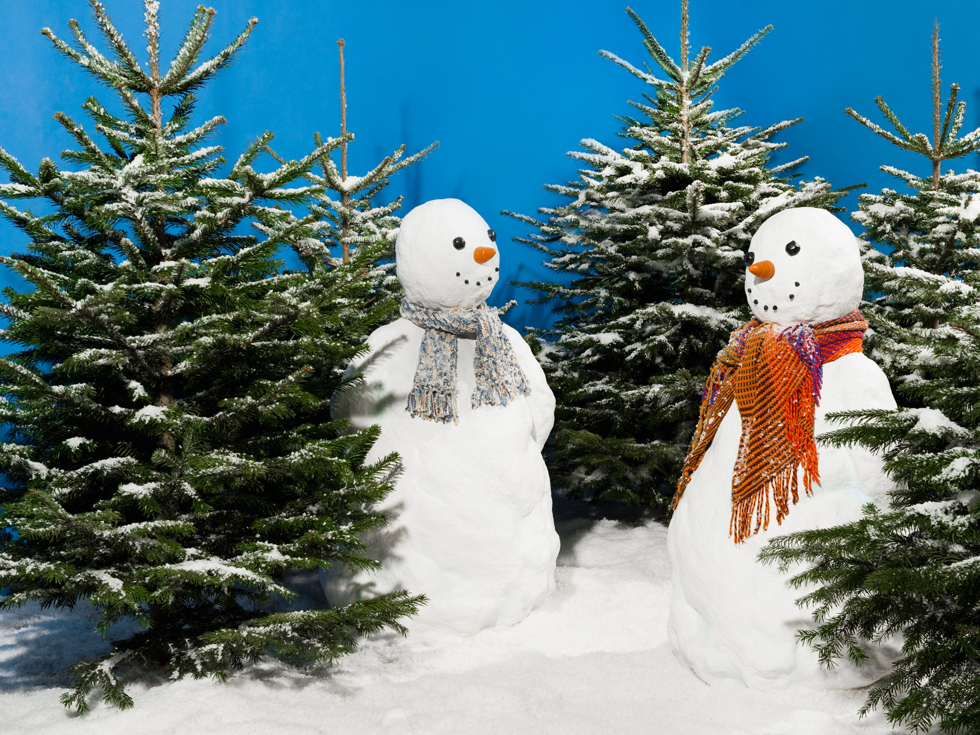White Christmas tree – Christmas tree artificial snow